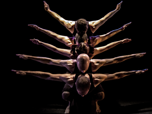 PUSH Physical Theatre: The Science Behind the Story Dec. 1