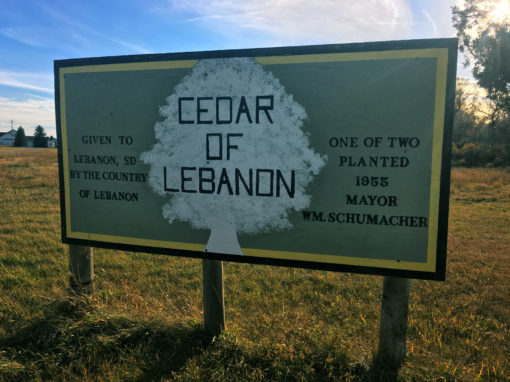 A Page in History: Cedars of Lebanon